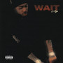 Wait (Explicit)
