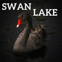 Swan Lake