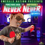 Never Never (feat. IndyBugg1)