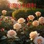 Roses Bloom