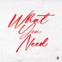 What You Need