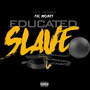 Educated Slave (Explicit)