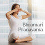 Bhramari Pranayama: Bee Breathing Music