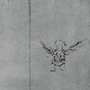 communal roosting (Explicit)