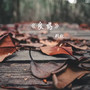 良药