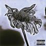 Dead Flowers (Explicit)