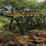 Sounds Good (Explicit)