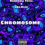 Chromosome (Explicit)