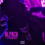 Alpaca (Explicit)