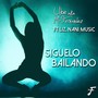 Siguelo Bailando (feat. Liz & Nani Music)