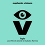 Lost Mind (David Di Sabato Remix)