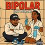 BiPolar (Explicit)