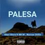 Palesa (feat. MR SK, Maxican Chillie)