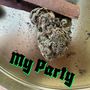 My Party (Explicit)