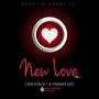 New Love (feat. Carleon DT)