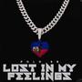 Lost In My Feelingz (Explicit)