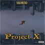 Project X (Explicit)