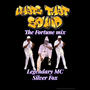 What's That Sound (The Fortune Mix) (Special Version)