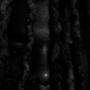Antisocialist (Explicit)