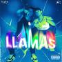 Llamas (feat. Punik)