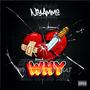 Why (Explicit)