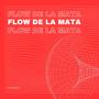 Flow de la mata