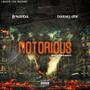 NOTORIOUS (feat. Dooney ODE) [Explicit]