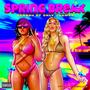 SPRING BREAK (feat. OnlyJahmez) [Explicit]