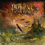 Partial Distortions (Explicit)