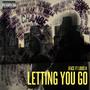 Letting You Go (feat. Louis H) [Explicit]