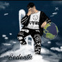 Sedenta