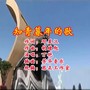 知青暮年的歌（丁艳）