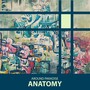 Anatomy