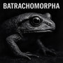 Batrachomorpha