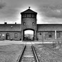 Auschwitz (Explicit)