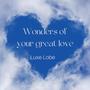 Wonders of your great love