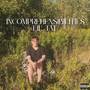 INCOMPREHENSIBILITIES (Explicit)