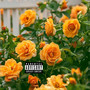 Amber Rose (Explicit)