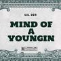 Mind of a youngin (Explicit)