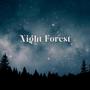 Night Forest