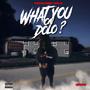 What You On Dolo? (Explicit)