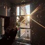 花开花落花无悔