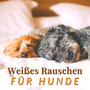 Weißes Rauschen für Hunde: Leise Lieder die Ihrem Welpen Helfen, Sich zu Entspannen und zu Schlafen