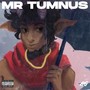 Mr Tumnus (Explicit)