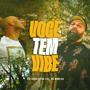 Você tem Vibe (feat. Du Moreira)