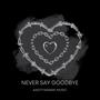 Never say goodbye