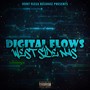 Digital Flows (Explicit)