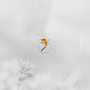 Fragments of Her (Original Mix)