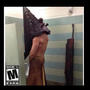 CANONS (Explicit)