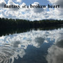 Fantasy of a Broken Heart (Explicit)